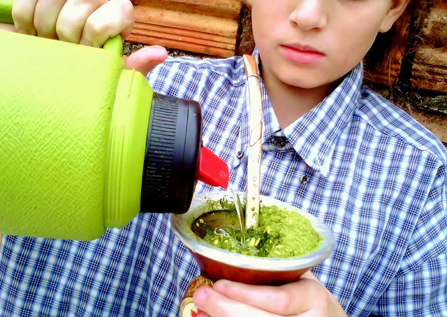 Yerba Mate