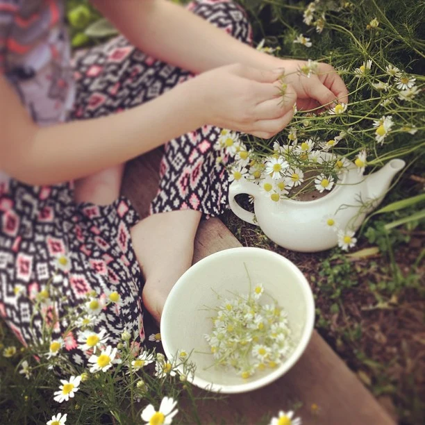 Chamomile Tea