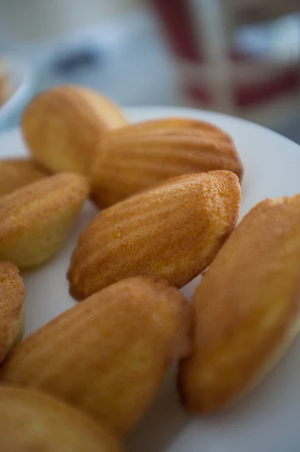 MADELEINE