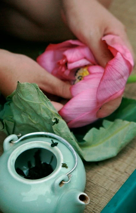 LOTUS TEA