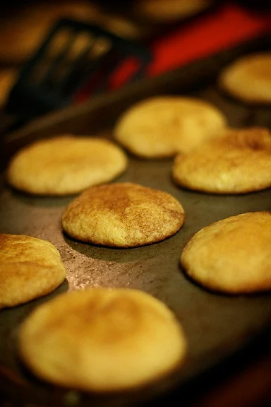 SNICKERDOODLE